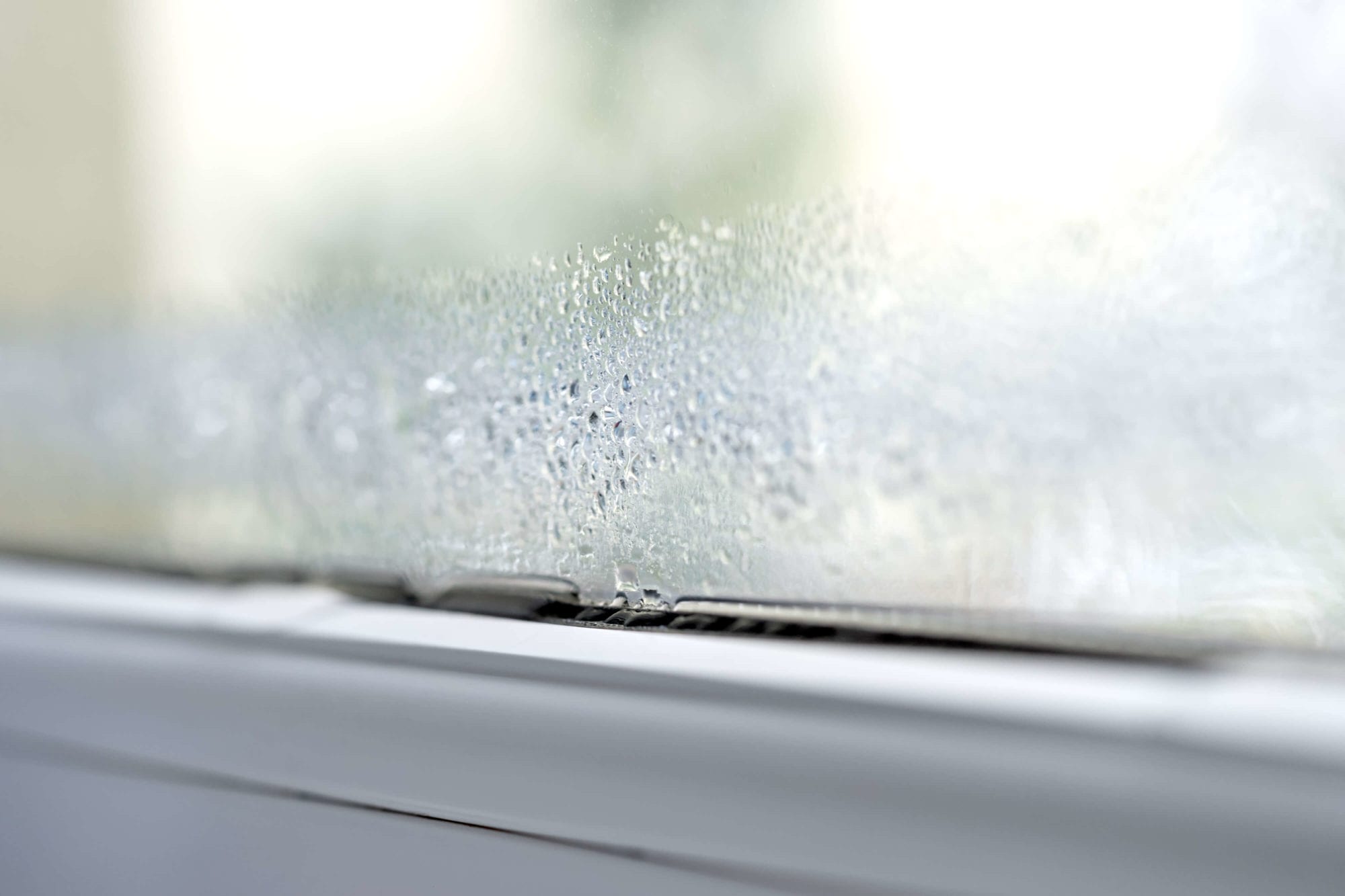 Avoid condensation on the windows - Solar Screen