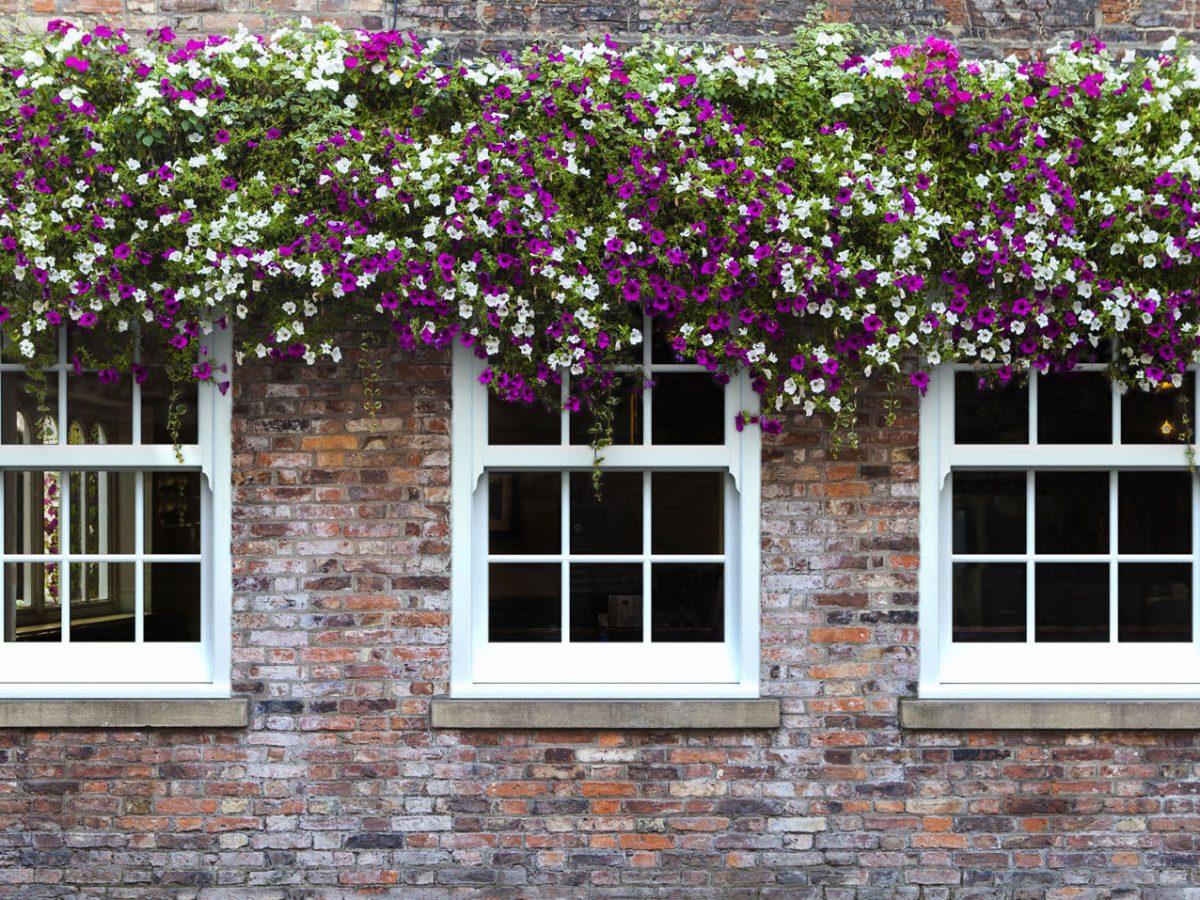 Vertical sliding sash windows