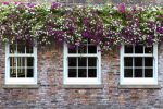 How New Windows Can Help Lower Your Energy Bills