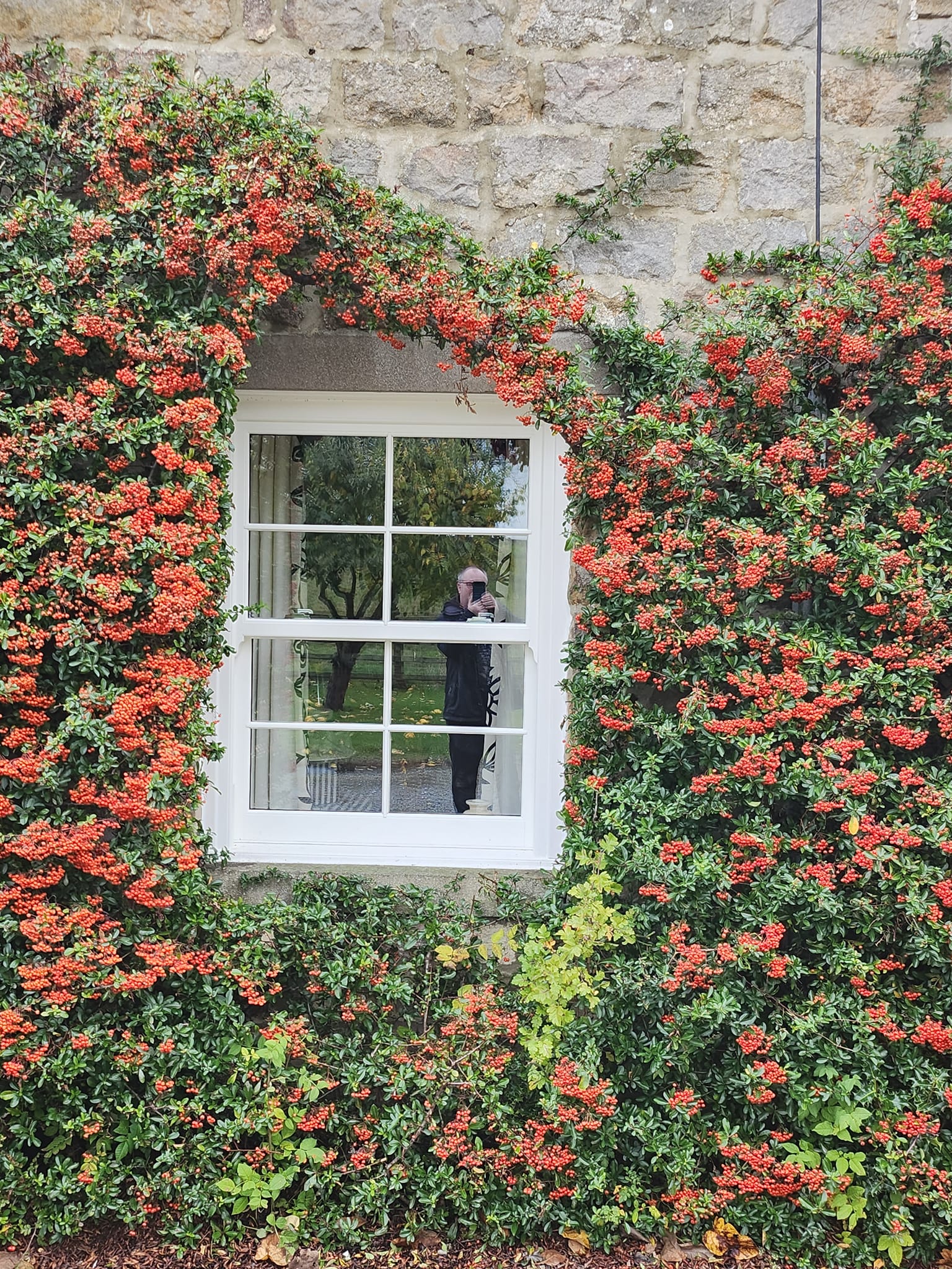 Sash Windows Blackburn