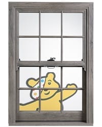 CIN-website
