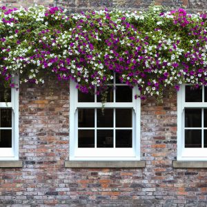 Sliding Sash Windows