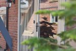 Aluminium Residential Doors