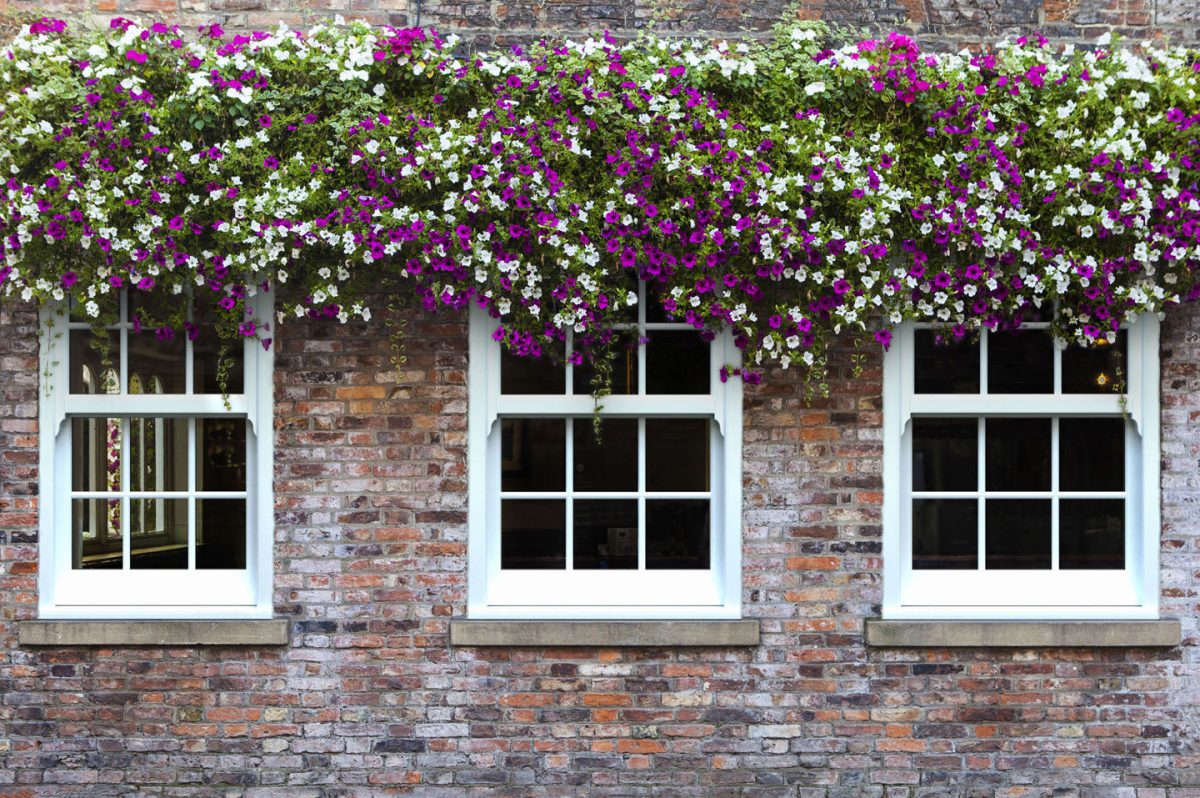 White Sliding Sash Windows PCW Installers