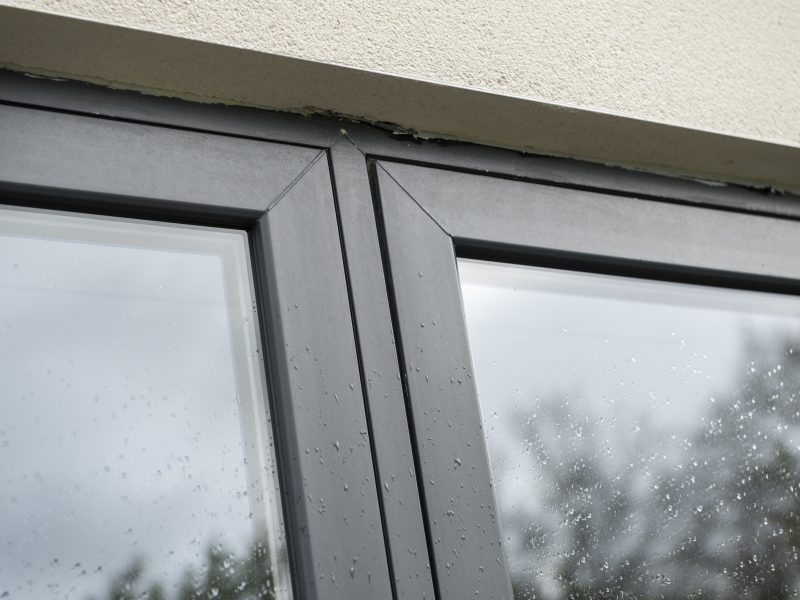 Premium Flush Windows