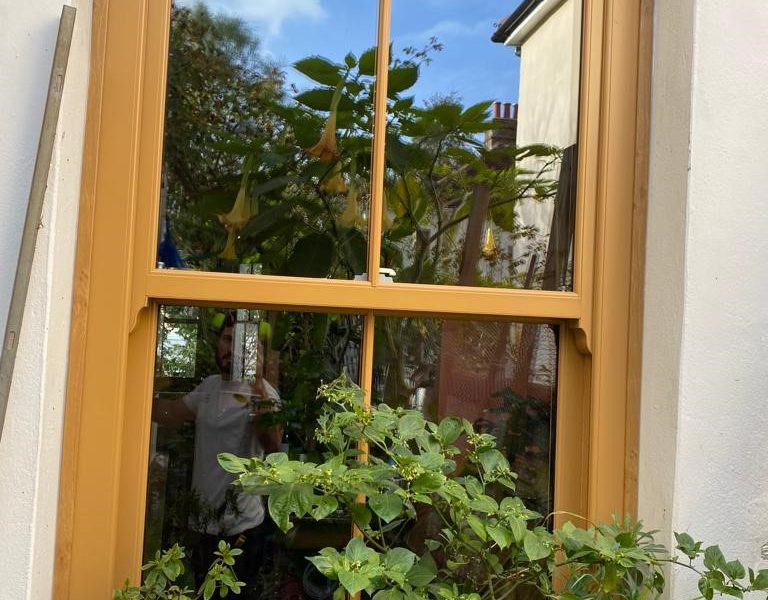 Woodgrain sliding sash windows