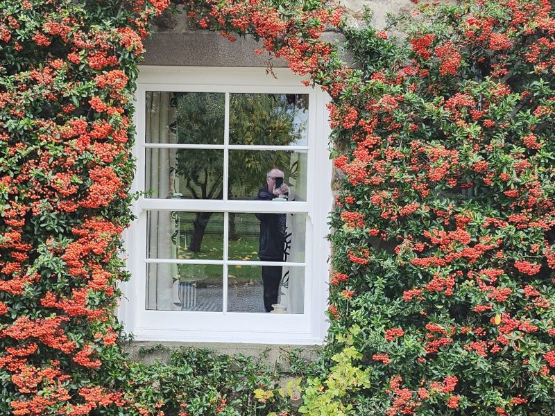 sliding sash windows