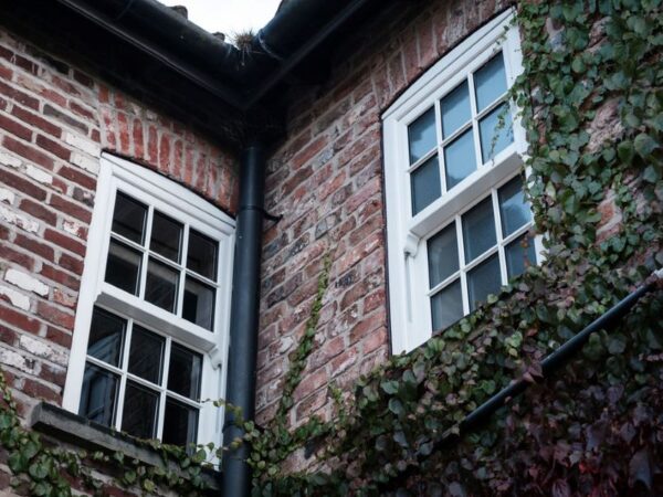 Big Start to 2026: We’ve Increased Capacity and Grown the Team